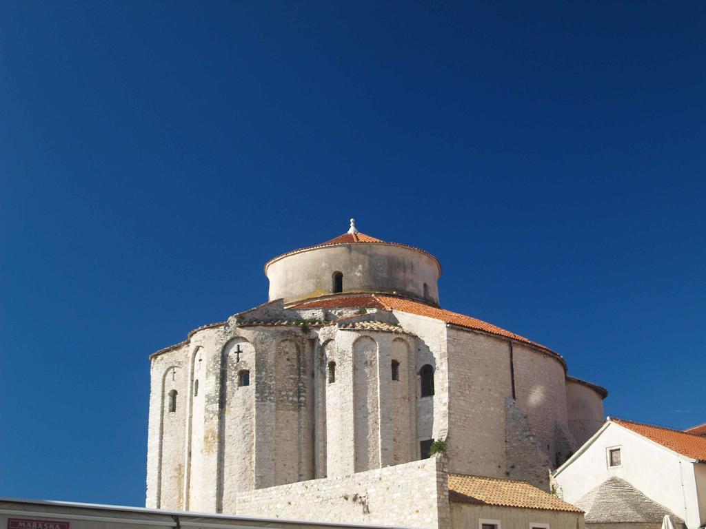 Evergreen Zadar